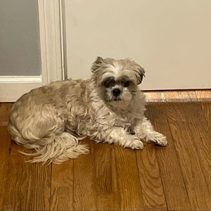 Meet your Posher, Neil